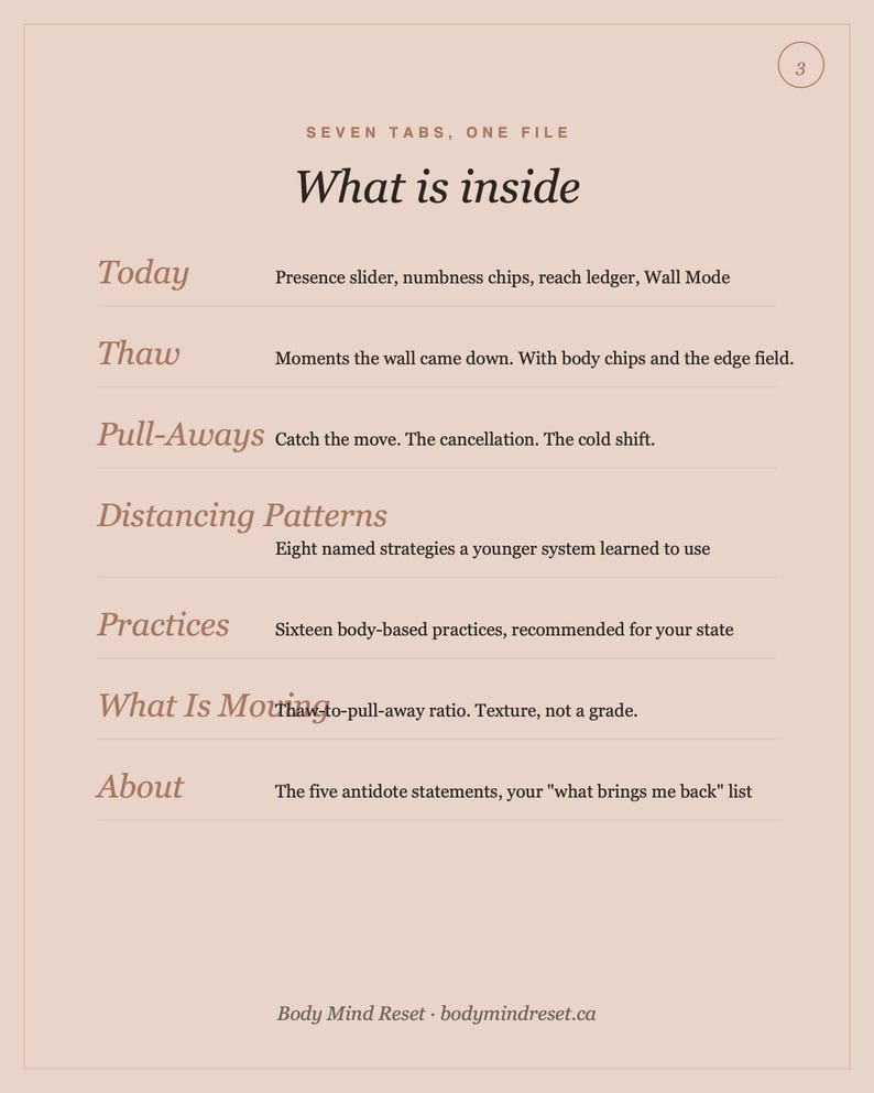 Pode incluir: Um documento informativo rosa claro intitulado Seven Tabs, One File: What is inside. Lista sete se&ccedil;&otilde;es: Today, Thaw, Pull-Aways, Distancing Patterns, Practices, What Is Moving e About, com breves descri&ccedil;&otilde;es. O rodap&eacute; exibe Body Mind Reset e bodymindreset.ca.