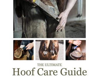 The Ultimate Hoof Care Guide