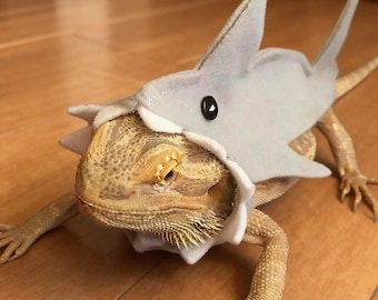Soft Felt Shark Outfit for Bearded Dragon Photo Shoots