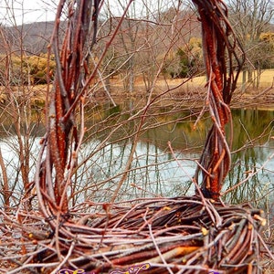 Birch Twig Easter Basket image 3