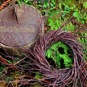 10&quot; Birch Wreath Tip to tip measurement 28&quot;-30&quot;