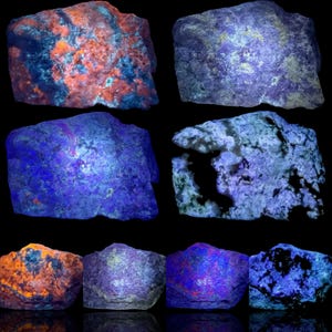 May include: A collection of fluorescent mineral specimens, showcasing a variety of colors under UV light. The rocks display vibrant hues of orange, blue, purple, and green against a black background. The textures and patterns vary across the specimens.