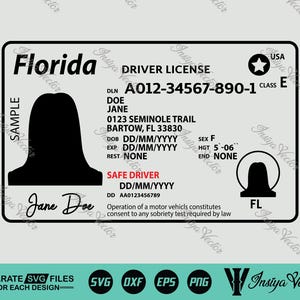Puede incluir: Un gráfico vectorial de un permiso de conducir de Florida. La licencia presenta el nombre del estado, una silueta e información personal. El diseño incluye el texto "SAFE DRIVER" y un símbolo "FL" estilizado.