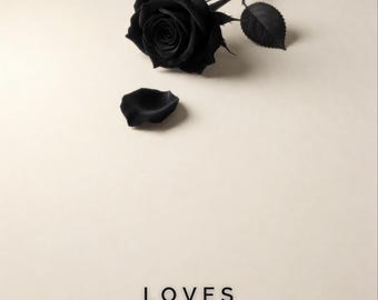 Premade Dark Romance Book Cover, Single Rose on Cream, Black Rose Ebook Design
