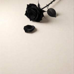 Premade Dark Romance Book Cover, Single Rose on Cream, Black Rose Ebook Design image 3