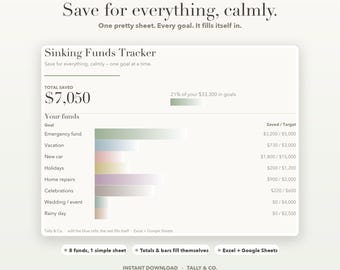 Sinking Funds-tracker-spreadsheet, planner voor spaardoelen (Excel, Google Spreadsheets)