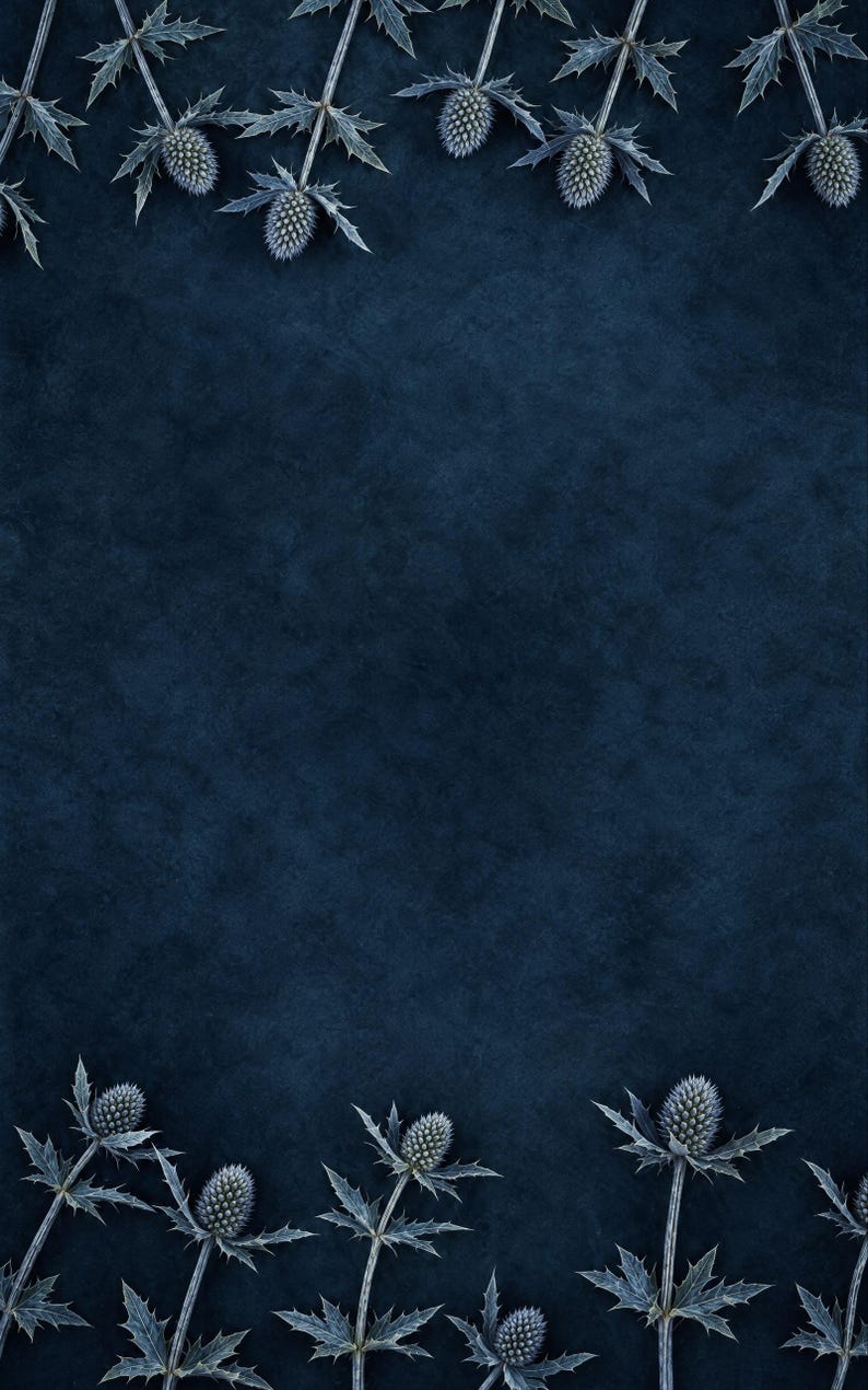 Premade Dark Romance Book Cover, Frosted Sea Holly on Slate, Bold Typography Ebook Design image 3