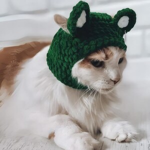 Könnte beinhalten: Eine weiß-orange Katze trägt einen handgefertigten grünen Häkel-Froschhut mit weißen Akzenten. Die Katze liegt, den Kopf zur Seite geneigt. Der Hut hat zwei große Augen und zwei kleine Ohren.