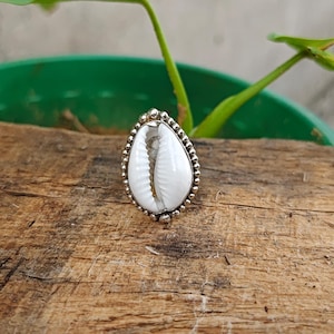Pode incluir: Um anel com uma concha de búzios branca como peça central montada numa estrutura metálica. A concha tem uma superfície lisa e brilhante com uma abertura central, rodeada por uma borda decorativa de pequenas contas metálicas uniformes.