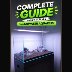 May include: A complete guide on how to start a freshwater aquarium. The image shows a glass aquarium with rocks and substrate, illuminated by a light fixture. The aquarium sits on a black cabinet. Text on the image reads "COMPLETE GUIDE".