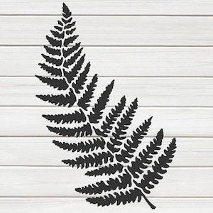 May include: A black fern frond silhouette against a white wood-plank background. The fern is detailed with many small leaflets, creating a textured appearance. The image is a simple, elegant botanical design.