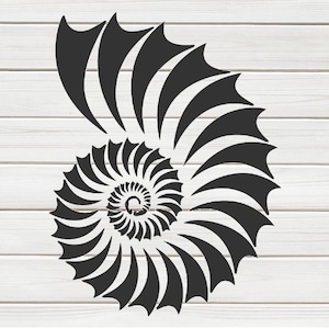 Könnte beinhalten: Schwarzes Spiral-Muscheldesign auf weißem Holzgrund. Die Nautilus-Muschel-Illustration zeigt ein detailliertes, symmetrisches Muster. Geeignet für Wandkunst, Heimdekoration oder Bastelprojekte.