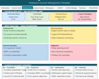 Strategic Account Plan Template Excel | Enterprise Account Management | Miller Heiman LAMP | MEDDIC Sales Template
