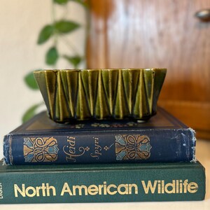 May include: A rectangular olive green ceramic planter with a vertical pleated texture, resting on a dark blue book titled Heidi Spyri and a dark green book titled North American Wildlife by Reader's Digest.