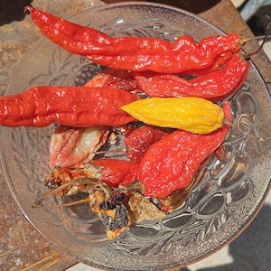 Può includere: Una ciotola in vetro trasparente contenente diversi peperoncini rugosi in tonalità rosso brillante e uno giallo vibrante. I peperoncini variano per consistenza e grado di maturazione, alcuni mostrano segni di essiccazione. La ciotola ha un motivo.