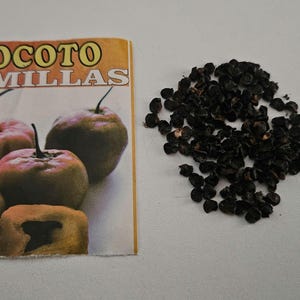 May include: A rectangular seed packet with the text ROCOTO SEMILLAS and an image of several round, orange and green peppers, positioned next to a small pile of numerous dark brown, circular, and textured seeds on a plain surface.