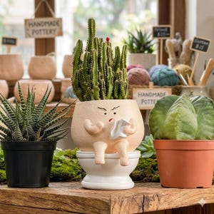 Maceta divertida para el inodoro, ideal para cactus y suculentas. Decoración original para el baño. Maceta de barro con mensaje atrevido. Regalo perfecto para el amigo invisible. Regalo de broma para un compañero de trabajo o una amante de las plantas.