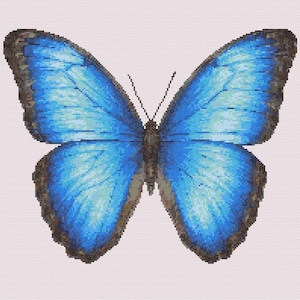 Op de afbeelding: Een kruissteekpatroon van een Morpho-vlinder met levendige blauwe vleugels met donkerbruine en zwarte randen. Het ontwerp toont een symmetrische vleugelstructuur met gedetailleerde pixels, een donker centraal lichaam en twee dunne voelsprieten.