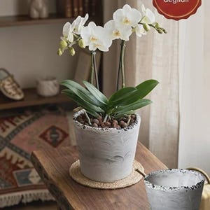 Vaso per orchidee in cemento bianco, fioriera in pietra di cristallo, vaso per fiori pigmentato 13 x 13 cm, porta piante da interno moderno, elegante regalo per la casa