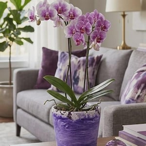 Paarse betonnen orchideeënpot, kristallen glazen plantenbak, 13 x 13 cm decoratieve bloemenhouder, moderne kamerplantendecoratie, uniek cadeau voor thuis