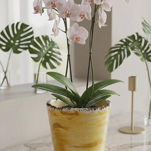 Gele betonnen orchideeënpot, kristallen glazen bloempot, 13 x 13 cm decoratieve bloempot, gekleurde plantenhouder voor binnen, uniek wooncadeau