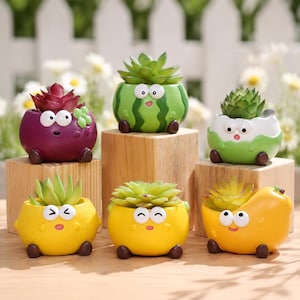 Può includere: Sei piccoli vasi rotondi e colorati a forma di personaggi dei cartoni animati con occhi grandi e piedini marroni, ognuno contenente una succulenta artificiale. I vasi sono viola, verdi, gialli e arancioni con varie espressioni facciali.