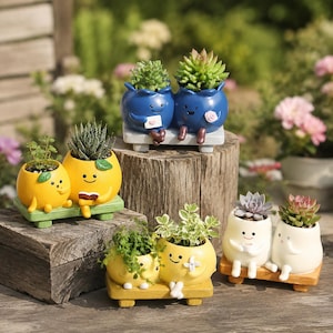 Cute Cartoon Fruit Succulent Planter Set for Plant Lovers, Resin Mini Plant Pot with Drainage Hole, Balcony Garden Decor Adorable Planter