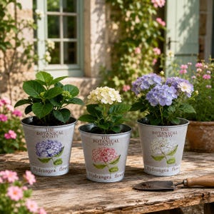Vintage Galvanized Tin Planter Pot with Hydrangea Botanical Print Rustic Metal Flower Bucket for Indoor Plants Home Garden Desk Decor