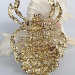 May include: A gold-coloured metal crab brooch with detailed craftsmanship. The crab's body features small, circular decorations, while its legs and claws are finely shaped. The brooch has a pin fastening on the reverse, designed for attaching to garments or accessories.