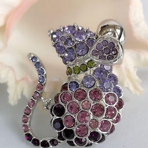 May include: A silver-toned mouse brooch encrusted with purple, pink, and green rhinestones. The mouse has a rounded body and a long, curved tail. The brooch is set against a soft, blurred background.