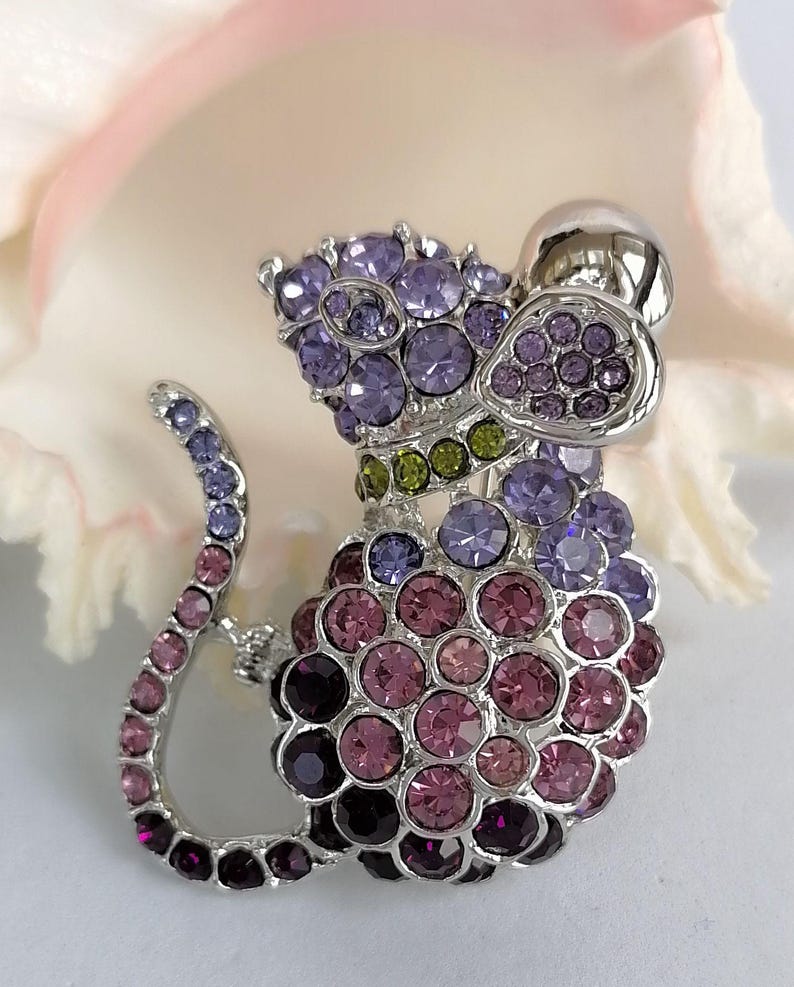 May include: A silver-toned mouse brooch encrusted with purple, pink, and green rhinestones. The mouse has a rounded body and a long, curved tail. The brooch is set against a soft, blurred background.