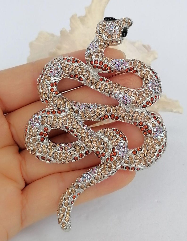 May include: A silver snake brooch adorned with brown, orange, and pink rhinestones. The snake's head has a black stone eye. This decorative brooch is designed to be worn as an accessory.