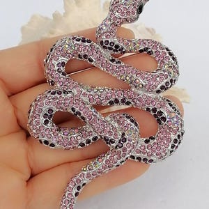 May include: A decorative snake brooch, featuring a design of coiled serpent. The brooch is adorned with pink and purple crystals, set on a silver-toned metal base. The crystals create a sparkling effect, adding to the brooch's appeal.