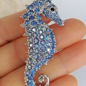 May include: A silver-toned seahorse brooch encrusted with light and dark blue crystals. The seahorse has a curled tail and a detailed head with a black eye. The brooch is designed to be worn as a decorative accessory.