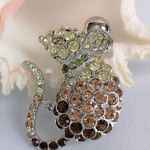 May include: A silver-toned mouse brooch encrusted with a variety of sparkling crystals in shades of yellow, green, and brown. The brooch has a detailed design with a rounded body and a long, curved tail. The mouse's head features a small, round, silver-colored detail.