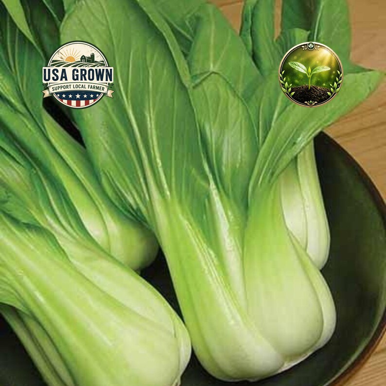 Heirloom Pak Choi Seeds | Dwarf White Stem Bok Choy | Organic Vegetable ...