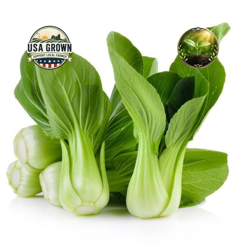 Heirloom Pak Choi Seeds | Dwarf White Stem Bok Choy | Organic Vegetable ...
