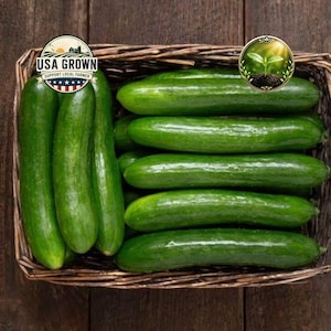 May include: A wicker basket filled with fresh, green cucumbers. The cucumbers are long and cylindrical, with a smooth, glossy skin. The basket is set against a dark wooden background. The image includes a "USA Grown" logo.