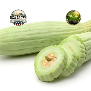 May include: A light green Armenian cucumber, with a few slices showing the inner seeds. The cucumber is labeled "USA Grown" and "Support Local Farmer".