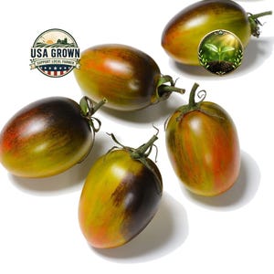 May include: Five oblong tomatoes with green, red, and dark brown hues. The tomatoes have green stems and are arranged on a white background. The image includes a "USA Grown" logo and a small circular image of a sprout.