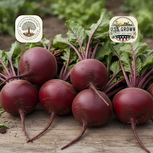 May include: A cluster of fresh, round, deep red beets with vibrant green leafy tops and purple-tinged stems. Two circular logos are visible: one reads Bounty of Branches, and the other reads USA Grown Support Local Farmer with a farm illustration.