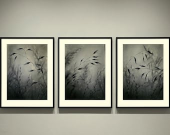 Dibujos originales de hierbas de pradera a carboncillo tamaño A4 (juego de 3) – Arte de la naturaleza dibujado a mano sobre papel de algodón | Tríptico botánico | Juego de arte para pared