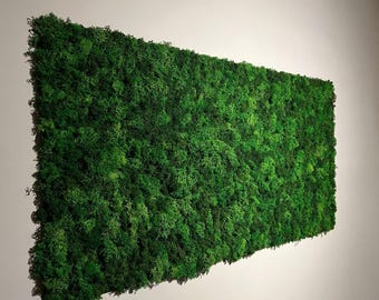 Pared de musgo estabilizado a medida • Alta calidad, hecha a medida • Mínimo 50 x 50 cm • Crea tu tamaño ideal • Muebles ecológicos
