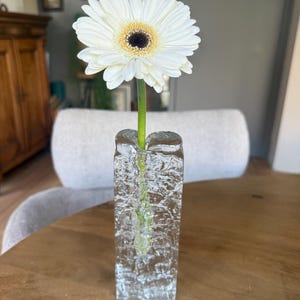 Op de afbeelding: Een witte gerbera met een donker hart in een heldere, getextureerde glazen vaas. De vaas is rechthoekig en staat op een houten tafel. De bloemstengel is groen.