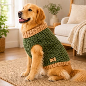 Puede incluir: Un golden retriever con un suéter de perro de ganchillo verde y beige. El suéter tiene una textura acanalada y un botón de hueso de madera. El perro está sentado en una alfombra tejida.