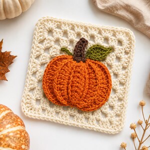 May include: A square crochet granny square in off-white yarn featuring a three-dimensional orange pumpkin appliqué in the centre. The pumpkin has a dark brown stem and a single green leaf attached to the top, all crafted with textured yarn stitches.