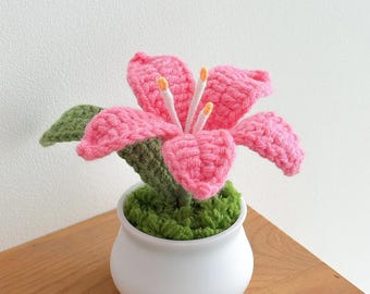 Hand-Knitted Crochet Lily Flower Pot – Delicate Woven Floral Decor, Handmade Mother’s Day Gift