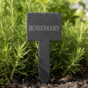 May include: A dark grey slate garden marker with the word "ROSEMARY" engraved in a light grey font. The marker is in a garden bed with green rosemary plants.