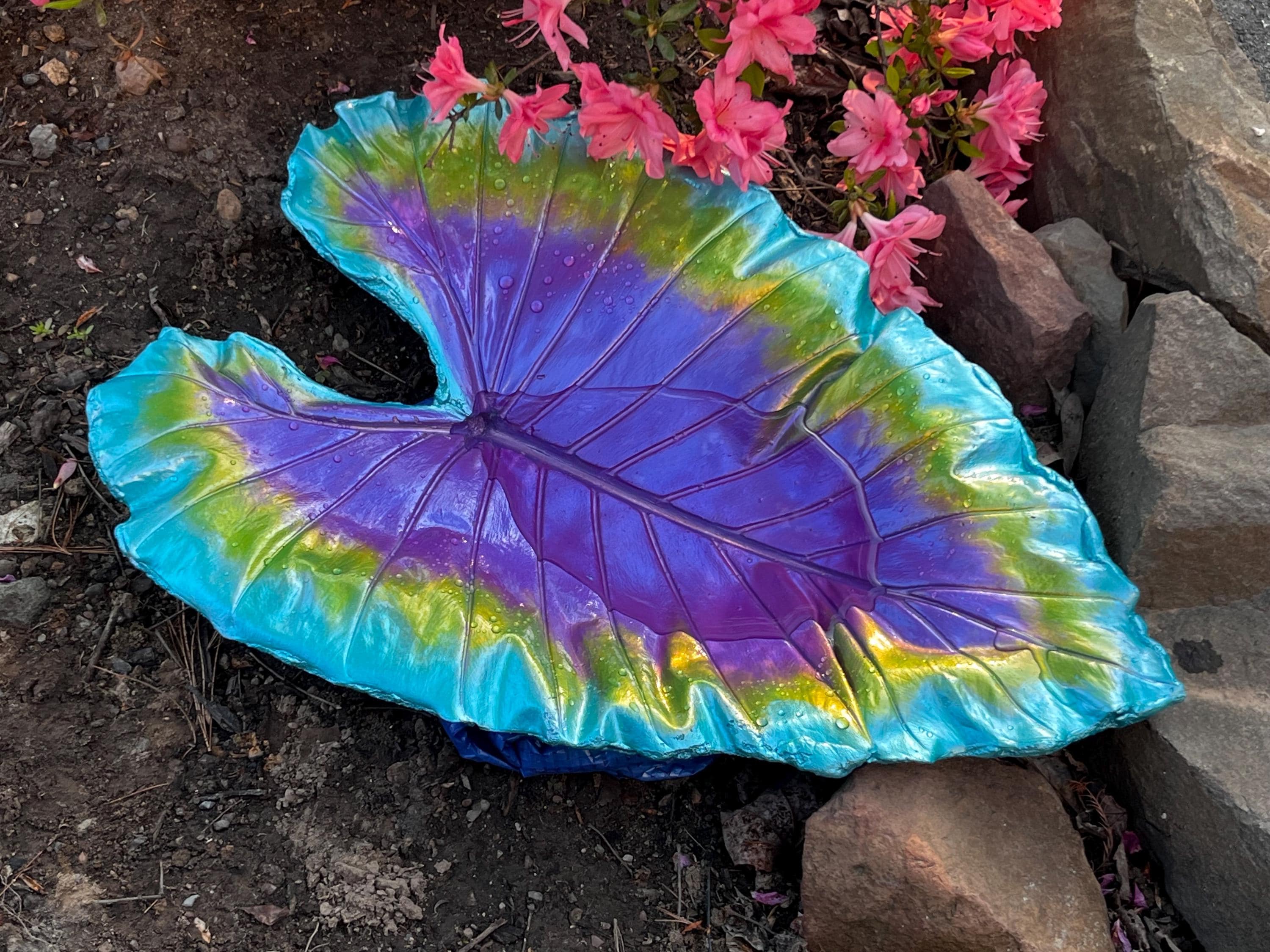 burle marx philodendron variegated Philodendron Burle Marx (Mint) Variegated  Toltec Plants