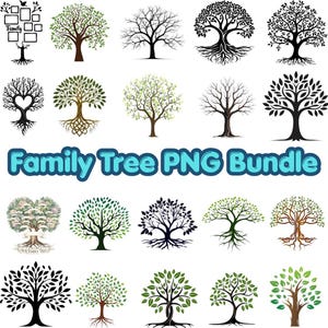 May include: A collection of twenty distinct tree illustrations, including black silhouettes, green leafed trees, and a family photo frame tree, with the text Family Tree PNG Bundle displayed in large blue letters across the center of the image.